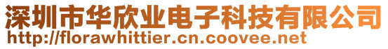 深圳市華欣業(yè)電子科技有限公司