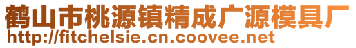 鹤山市桃源镇精成广源模具厂