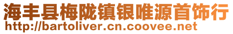 海丰县梅陇镇银唯源首饰行