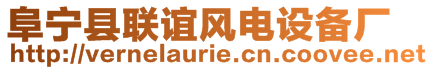 阜寧縣聯(lián)誼風(fēng)電設(shè)備廠