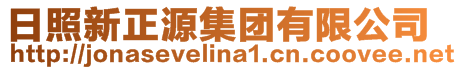 日照新正源集团有限公司