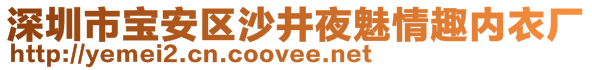 深圳市宝安区沙井夜魅情趣内衣厂