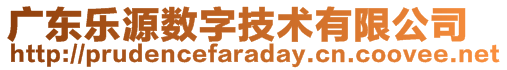 廣東樂(lè)源數(shù)字技術(shù)有限公司