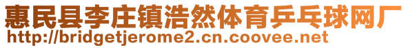 惠民縣李莊鎮(zhèn)浩然體育乒乓球網(wǎng)廠