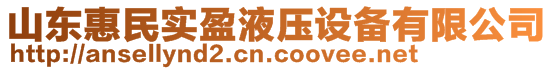 山东惠民实盈液压设备有限公司