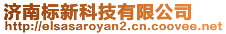 濟(jì)南標(biāo)新科技有限公司