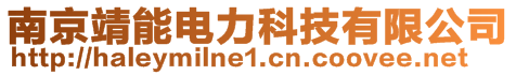 南京靖能電力科技有限公司