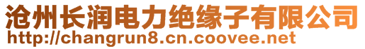 滄州長潤電力絕緣子有限公司