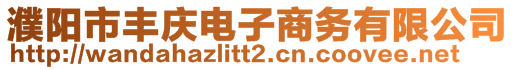 濮陽市豐慶電子商務有限公司