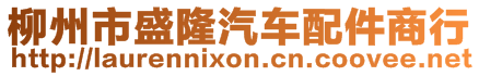 柳州市盛隆汽車配件商行