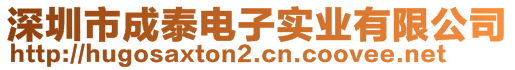 深圳市成泰电子实业有限公司