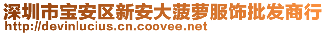 深圳市寶安區(qū)新安大菠蘿服飾批發(fā)商行