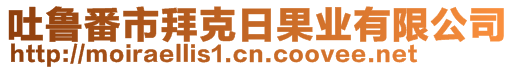 吐魯番市拜克日果業(yè)有限公司