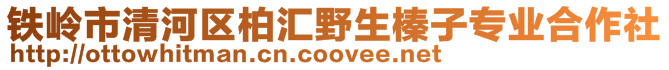 鐵嶺市清河區柏匯野生榛子專業合作社