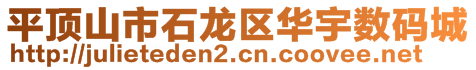 平頂山市石龍區(qū)華宇數(shù)碼城