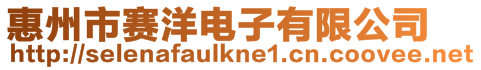 惠州市賽洋電子有限公司