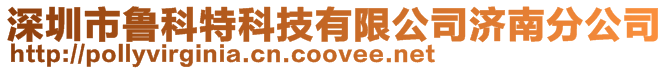 深圳市魯科特科技有限公司濟南分公司