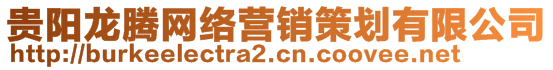 貴陽(yáng)龍騰網(wǎng)絡(luò)營(yíng)銷(xiāo)策劃有限公司