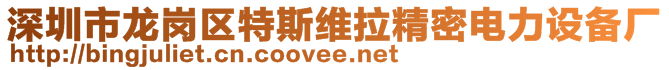 深圳市龍崗區(qū)特斯維拉精密電力設備廠