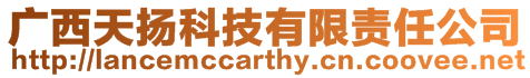 廣西天揚科技有限責任公司