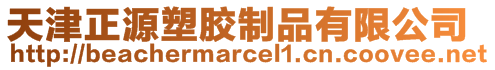 天津正源塑膠制品有限公司