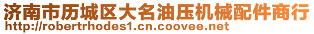 濟南市歷城區(qū)大名油壓機械配件商行