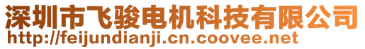 深圳市飛駿電機(jī)科技有限公司