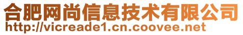 合肥網(wǎng)尚信息技術(shù)有限公司