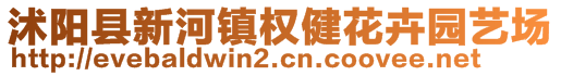 沭陽縣新河鎮(zhèn)權(quán)健花卉園藝場