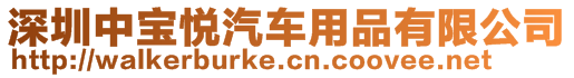 深圳中寶悅汽車用品有限公司