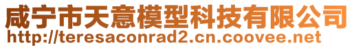 咸宁市天意模型科技有限公司