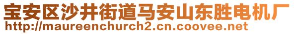 宝安区沙井街道马安山东胜电机厂