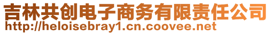 吉林共創(chuàng)電子商務(wù)有限責(zé)任公司