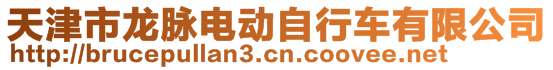 天津市龙脉电动自行车有限公司