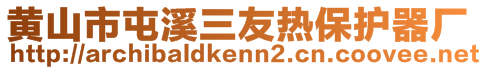 黃山市屯溪三友熱保護器廠