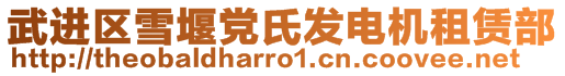 武進(jìn)區(qū)雪堰黨氏發(fā)電機(jī)租賃部