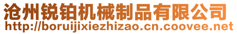 滄州銳鉑機械制品有限公司