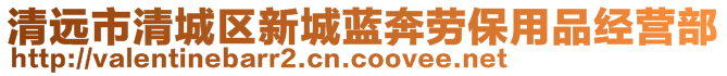 清遠市清城區新城藍奔勞保用品經營部