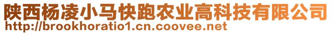 陜西楊凌小馬快跑農(nóng)業(yè)高科技有限公司