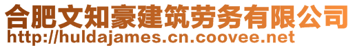 合肥文知豪建筑勞務(wù)有限公司