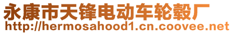 永康市天鋒電動車輪轂廠