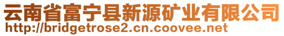 云南省富寧縣新源礦業(yè)有限公司