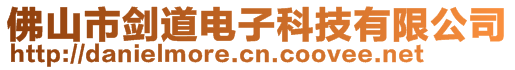 佛山市劍道電子科技有限公司