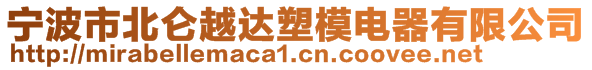 寧波市北侖越達塑模電器有限公司