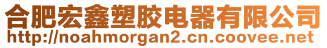 合肥宏鑫塑胶电器有限公司