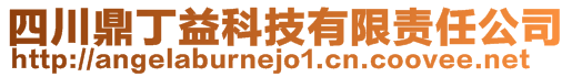 四川鼎丁益科技有限責任公司