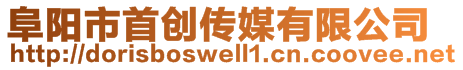 阜阳市首创传媒有限公司