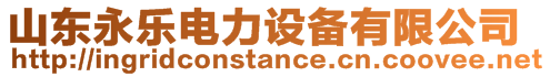 山東永樂(lè)電力設(shè)備有限公司