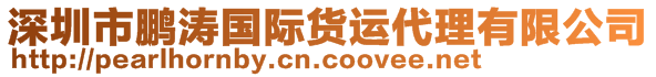 深圳市鵬濤國(guó)際貨運(yùn)代理有限公司