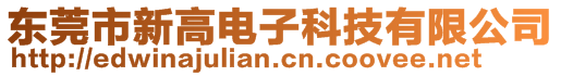 東莞市新高電子科技有限公司